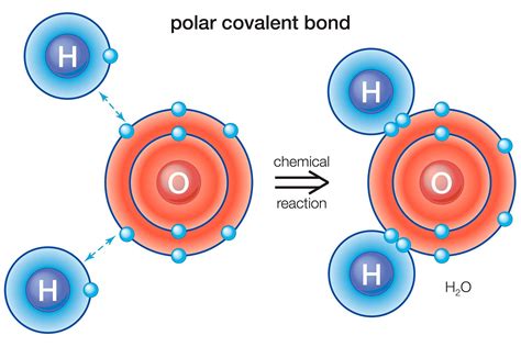 chemistry polarity project